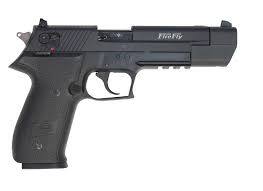 Licensed and restricted collection – rimfire rifle