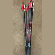 Victory RIP.204 Sport, 242 grains GAMER 400FB